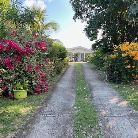 Jardin Des Anges-Bungalows Creoles Et Studio Le Moule Kültér fotó