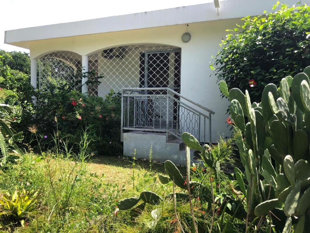 Jardin Des Anges-Bungalows Creoles Et Studio Le Moule Kültér fotó